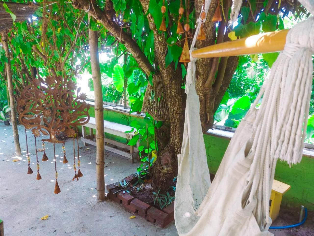 Gaia Ocean Surf Yoga Hostel Ahangama Buitenkant foto